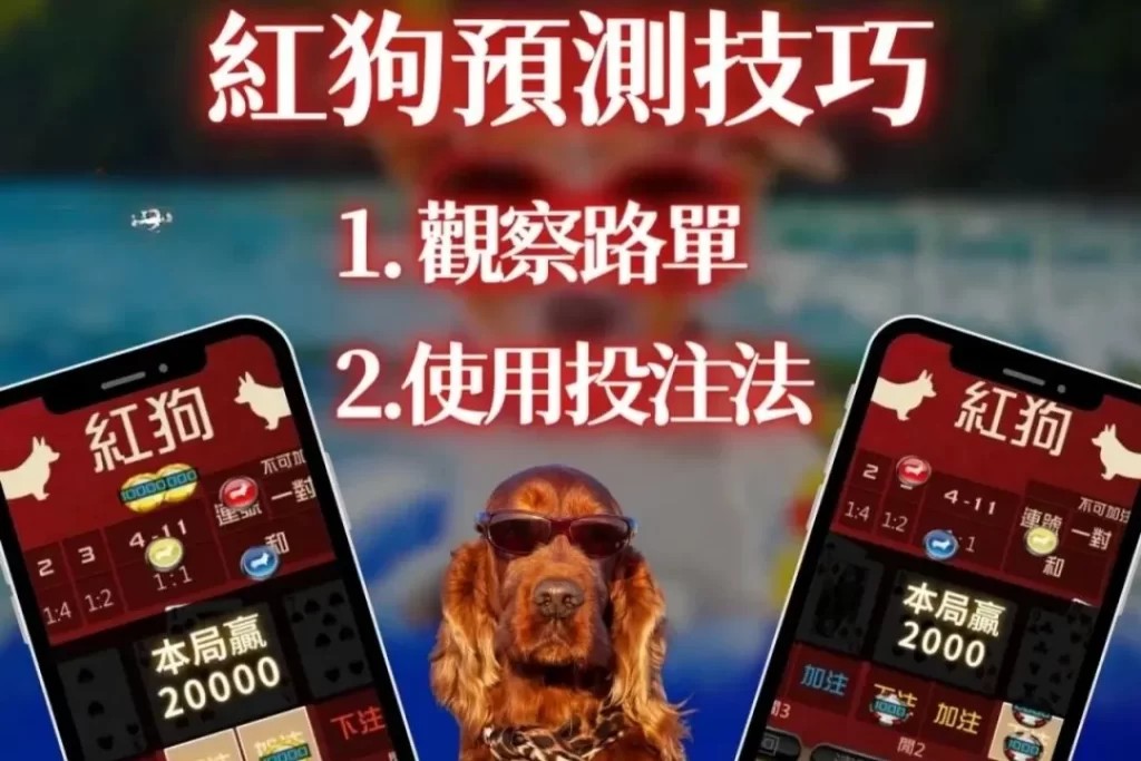 線上紅狗 紅狗撲克牌賺錢 娛樂城撲克牌推薦